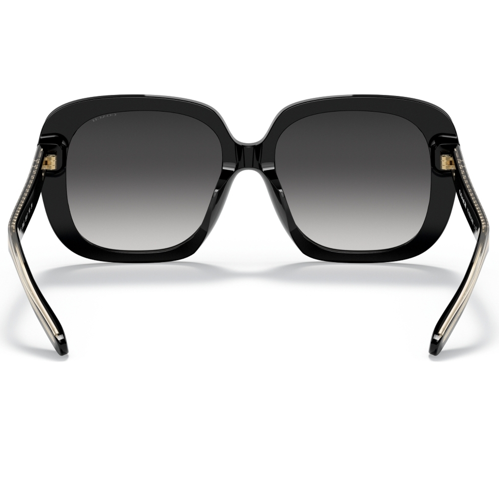 Brand NEW Coach Sunglasses - Picture 3 of 8